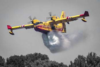 Feu de forêt St Mandrier sur mer 2019