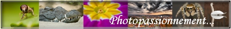 http://photopassionnement.free.fr