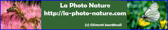 http://la-photo-nature.com